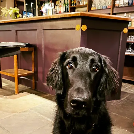 The Wensleydale